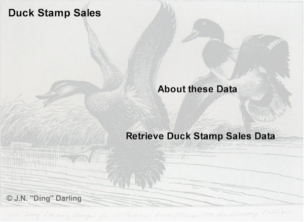 1934-1935 Duck Stamp  image by J.N. "Ding" Darling